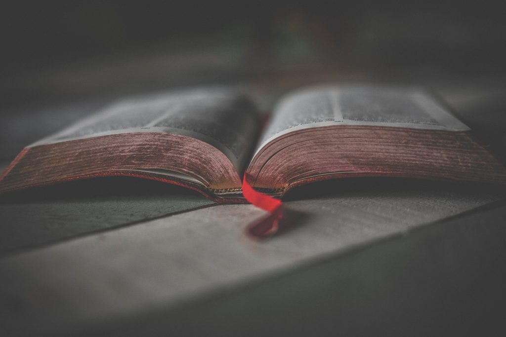 new-year-bible-reading
